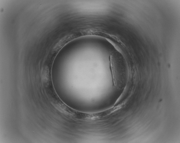 X0000072550760200607141252