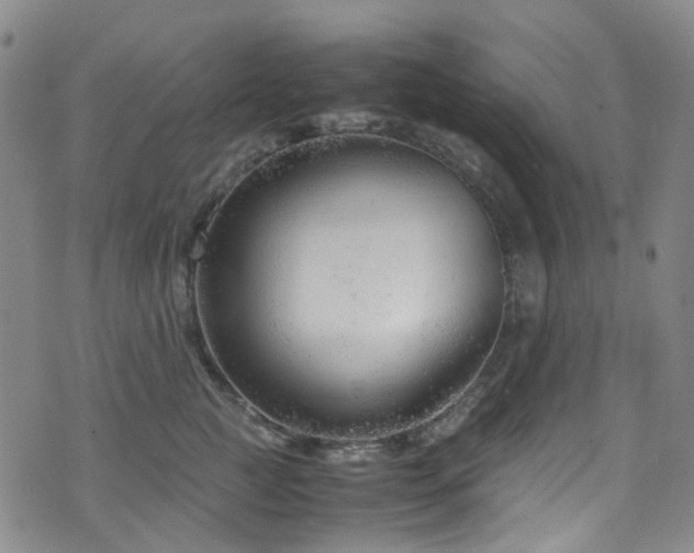 X0000072550761200607141252