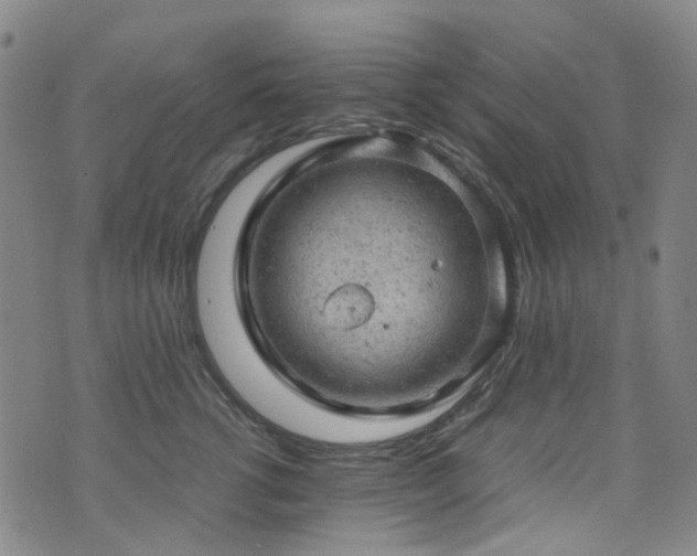 X0000072550762200607141252