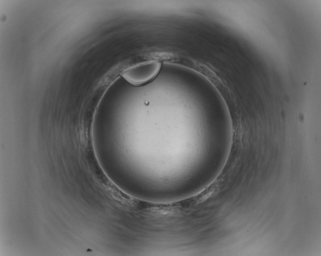 X0000072550763200607141252