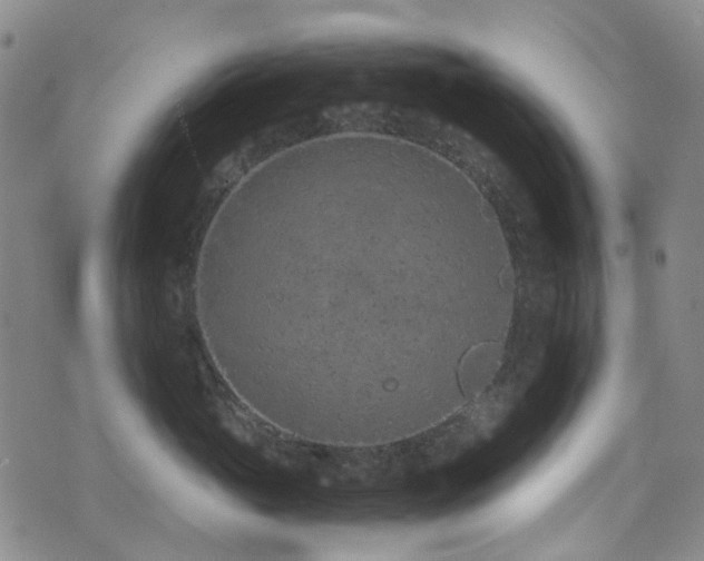 X0000072550765200607141252