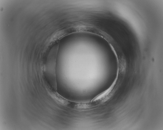 X0000072550766200607141252