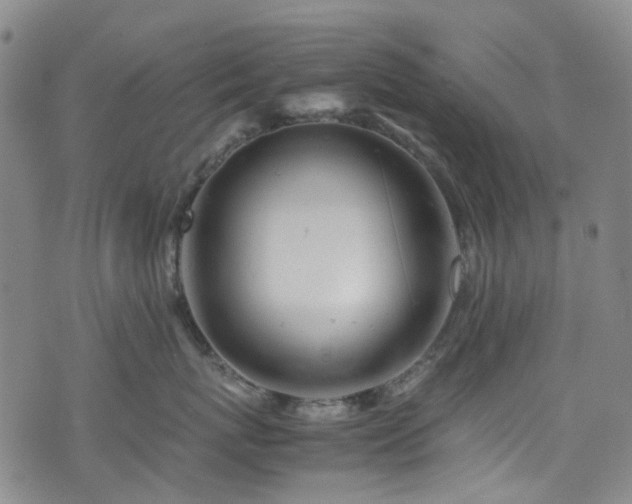 X0000072550767200607141252