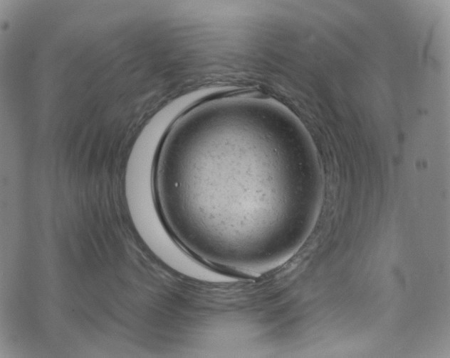 X0000072550768200607141252