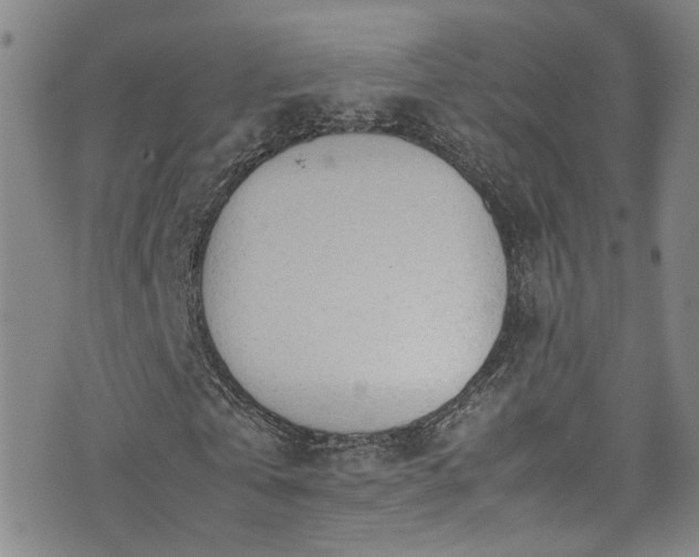 X0000072550769200607141252