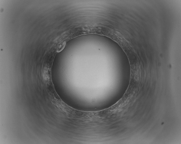 X0000072550770200607141252