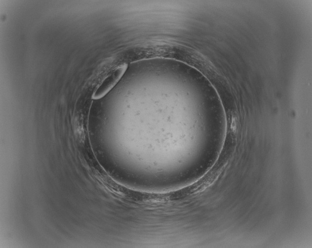 X0000072550771200607141252