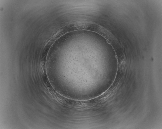 X0000072550772200607141252