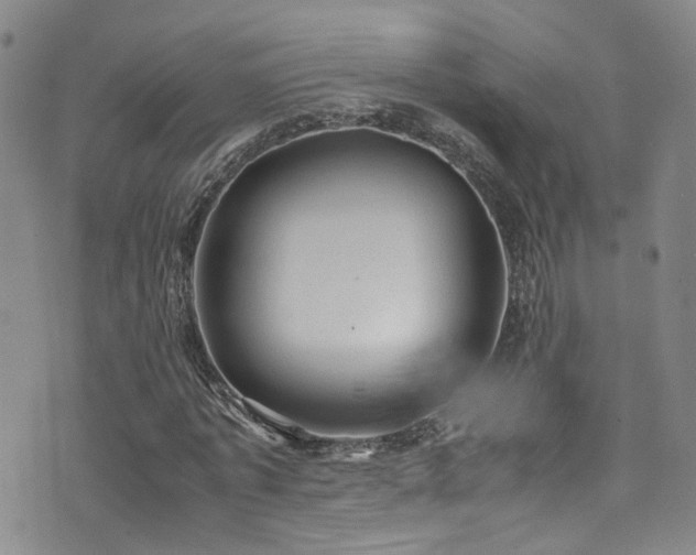 X0000072550773200607141252