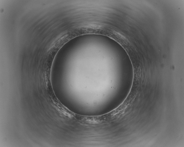 X0000072550774200607141252