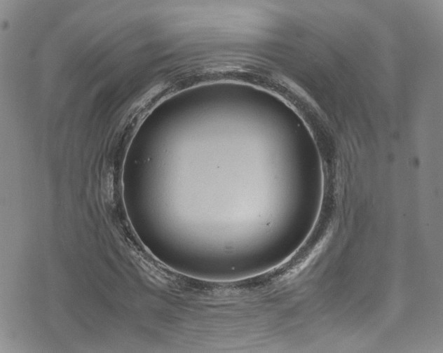 X0000072550777200607141251