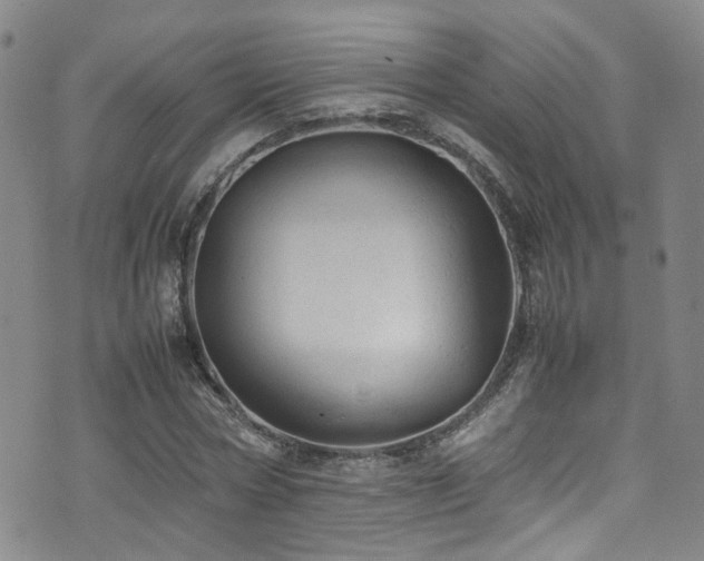 X0000072550778200607141251