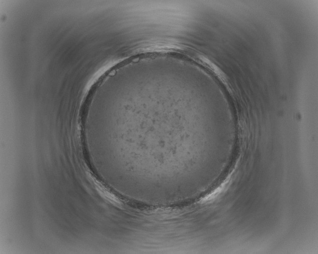 X0000072550779200607141251