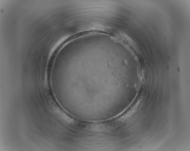 X0000072550780200607141251