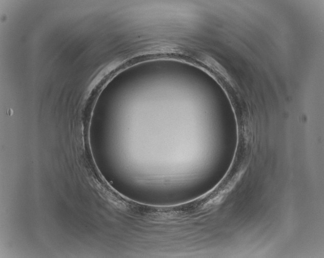 X0000072550781200607141251