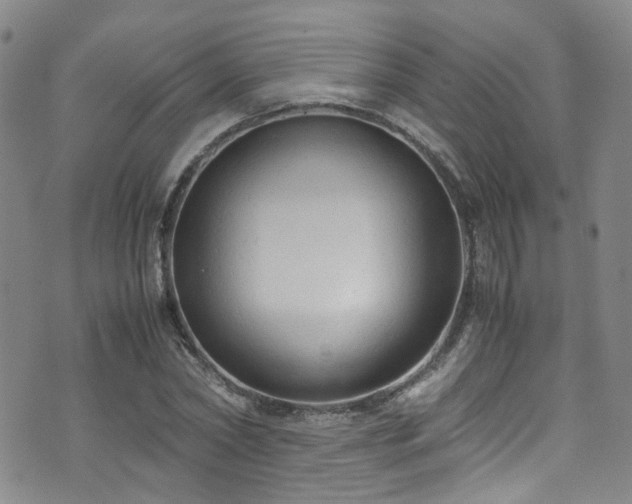 X0000072550782200607141251