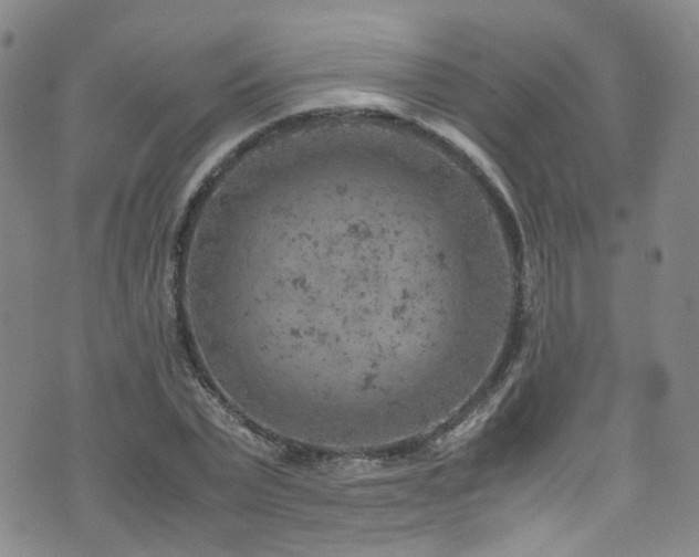 X0000072550783200607141251