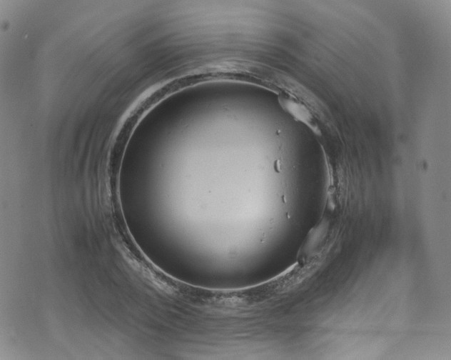 X0000072550784200607141251