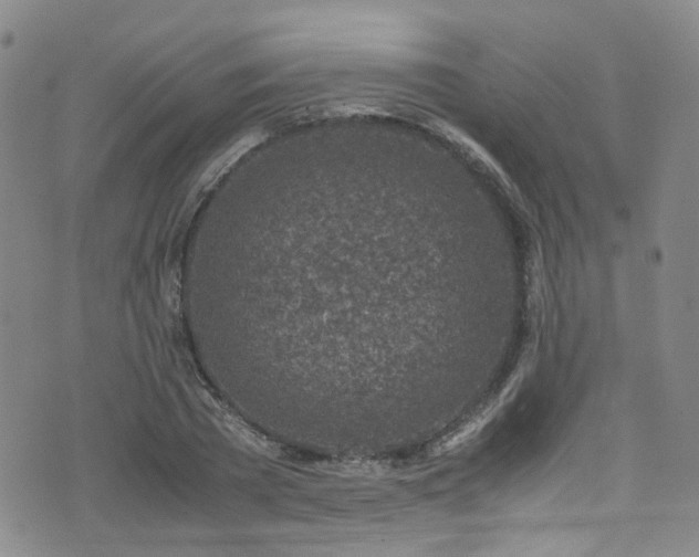 X0000072550785200607141251