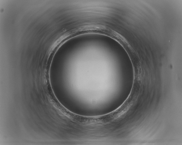 X0000072550786200607141251