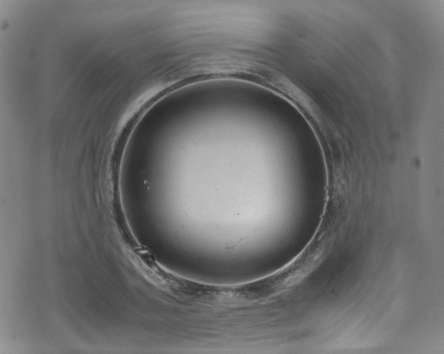 X0000072550787200607141251