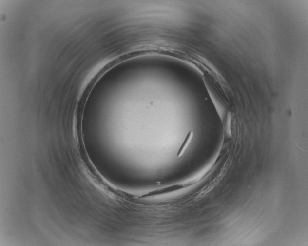 X0000072550788200607141251