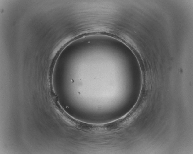 X0000072550789200607141251