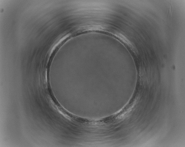 X0000072550790200607141251