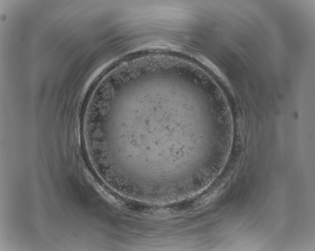 X0000072550791200607141251