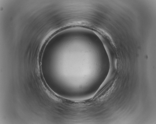 X0000072550792200607141251