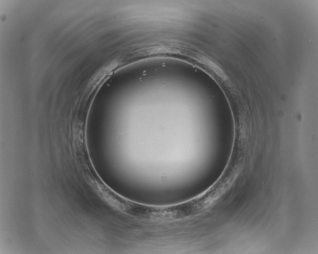 X0000072550793200607141251