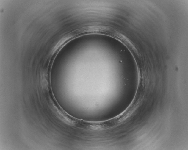 X0000072550794200607141251