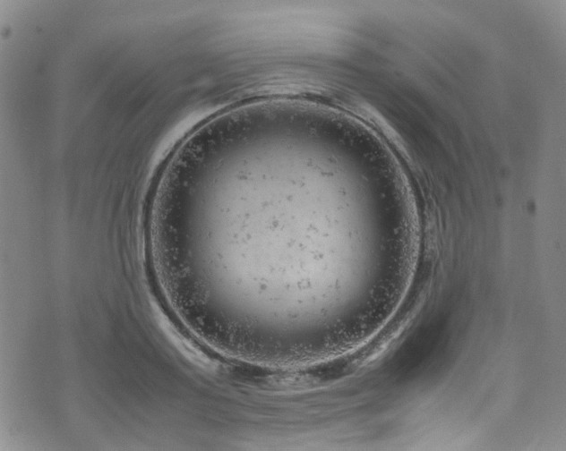 X0000072550795200607141251