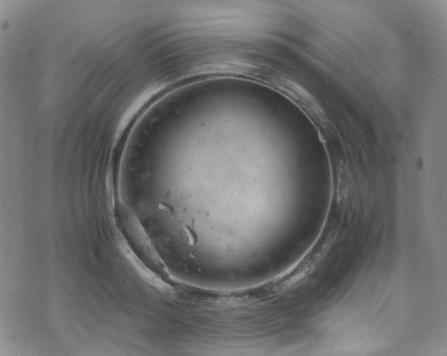 X0000072550796200607141251