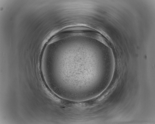 X0000072550797200607141251