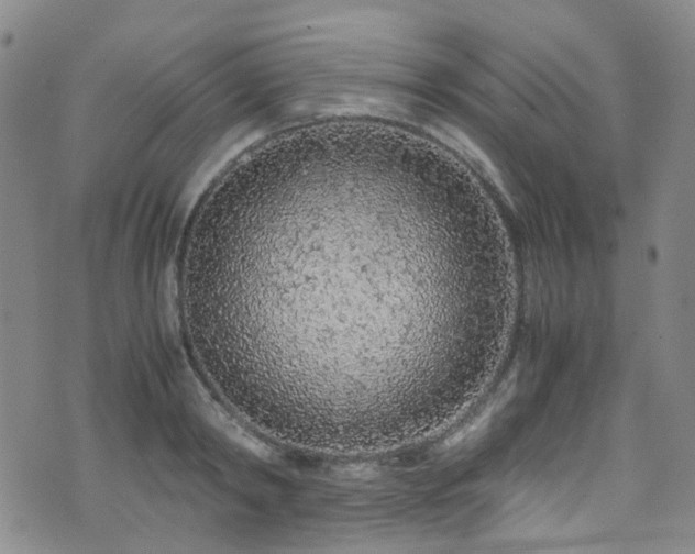 X0000072550798200607141251