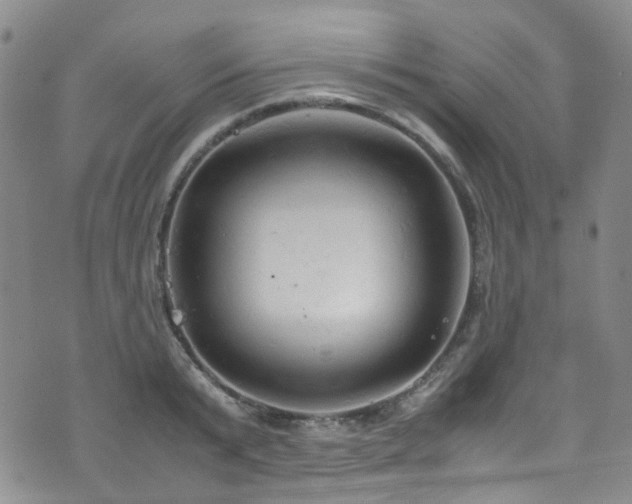 X0000072550799200607141251