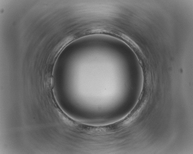 X0000072550801200607141251