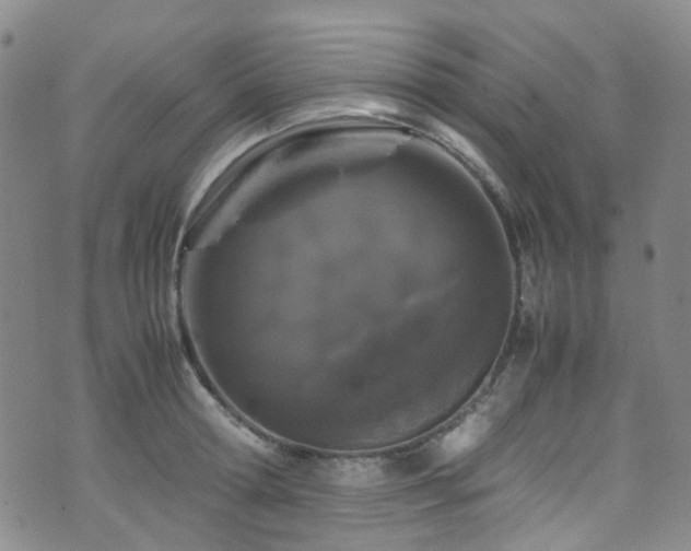 X0000072550802200607141251