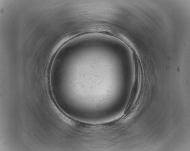 X0000072550803200607141251