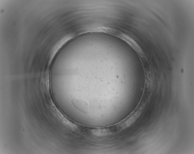 X0000072550804200607141251