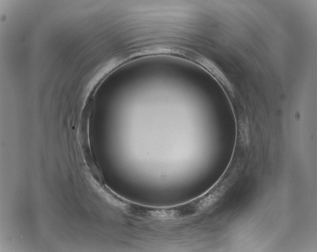 X0000072550805200607141251