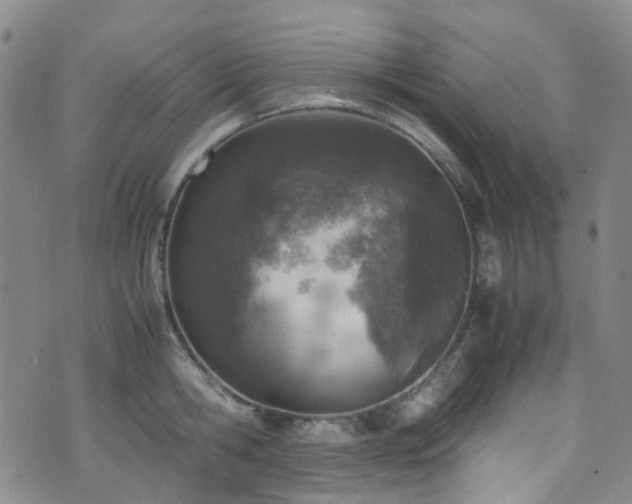 X0000072550806200607141251