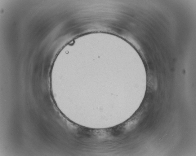 X0000072550807200607141251