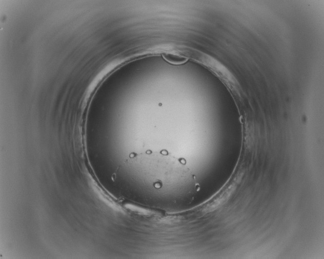 X0000072550808200607141251