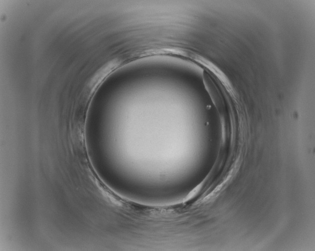 X0000072550809200607141251