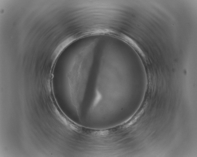 X0000072550810200607141251