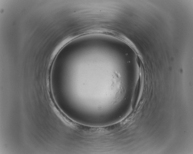 X0000072550811200607141251