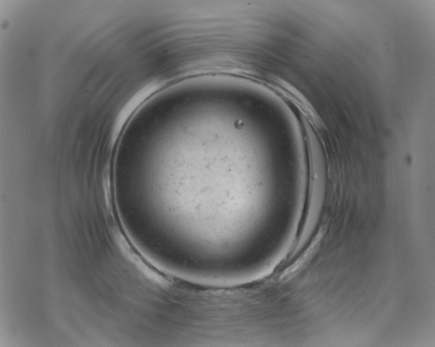 X0000072550812200607141251