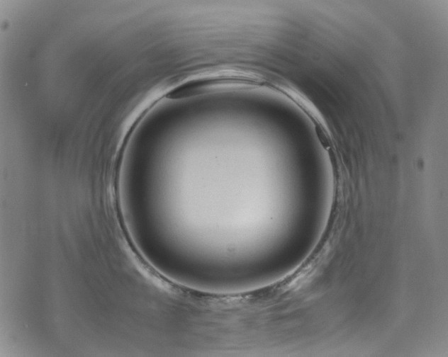 X0000072550813200607141251